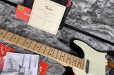 Fender American Professional Telecaster Ash 2 Tone Sunburst-4.jpg